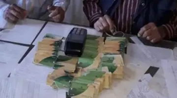 خطوات ضم الأسرة على بطاقة التموين للزوج وشروط إضافة المواليد 2026